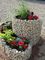 Ornate Welded Gabion Raised Garden Beds in Spiral/Triple Rings for Flowers &amp; Vegetables supplier