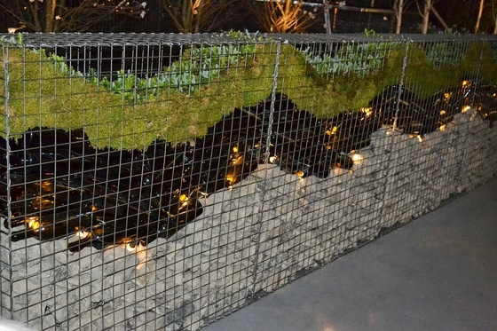 China Decorative Gabions Baskets for Gardens, Green Gabion Fences Wall for Landscape supplier