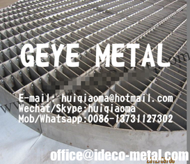 China Tower Internal Support Plate, Packing Support &amp; Hold Down Metal Grid Stainless Steel Gratings supplier